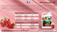 کود گوگرد مایع پایه پتاسیم (LIFE) در باجگیران در خراسان رضوی در گروه خرید فروش کود و مواد شیمیایی - اوره پتاس مرغی کمپوست آهن در یکمیوه