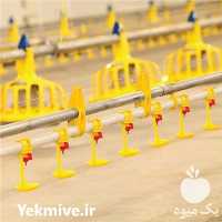 فروش سیستم آبخوری نیپل سوپر در مشهد در گروه تجهیزات دام و طیور - خرید فروش نو دسته دوم در یکمیوه