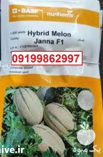 فروش بذر خربزه جانا پرفروش اصل در کرمان  در گروه خرید فروش بذر - انواع محصول کشاورزی گوجه کتان میوه درخت در یکمیوه -عکس1