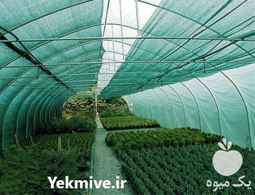 فروش توری شید گلخانه در اصفهان در گروه خرید فروش انواع پوشش ها و ورق ها - پلی استر پلی کربنات نایلون در یکمیوه -عکس1