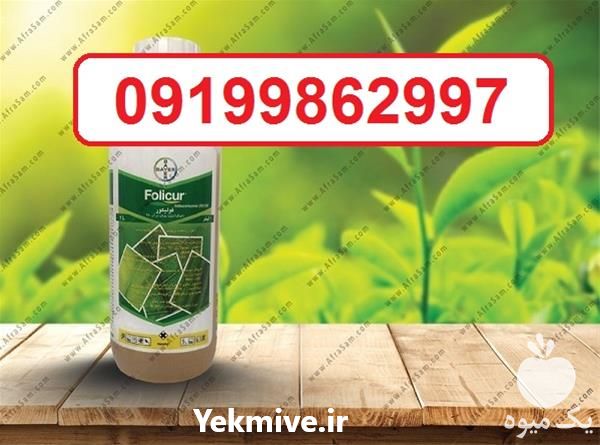 فروش قارچ کش فولیکور در خراسان شمالی در گروه خرید فروش کود و مواد شیمیایی - اوره پتاس مرغی کمپوست آهن در یکمیوه -عکس1