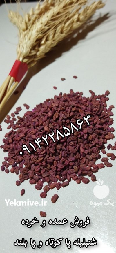 خرید و فروش انواع بذر یونجه در تبریز در گروه خرید فروش بذر - انواع محصول کشاورزی گوجه کتان میوه درخت در یکمیوه -عکس4