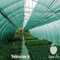 فروش توری شید گلخانه در اصفهان در گروه خرید فروش انواع پوشش ها و ورق ها - پلی استر پلی کربنات نایلون در یکمیوه