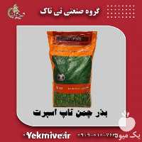 فروش مشخصات بذر چمن تاپ اسپرت هلندی در اصفهان در گروه خرید فروش بذر - انواع محصول کشاورزی گوجه کتان میوه درخت در یکمیوه