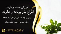 خرید و فروش انواع بذر یونجه در تبریز در گروه خرید فروش بذر - انواع محصول کشاورزی گوجه کتان میوه درخت در یکمیوه