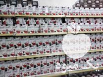 فروش چای ممتاز عطری وسبز در کرج در گروه خرید فروش عمده چای - سبز ترش کوهی سیاه در یکمیوه -عکس1