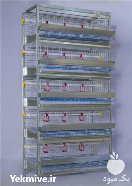 فروش مستقیم قفس بلدرچین قفس مرغ در سبزوار در گروه تجهیزات دام و طیور - خرید فروش نو دسته دوم در یکمیوه -عکس1