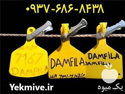 تولید و فروش پلاک گوش دام در تهران در گروه گاو و گوسفند و میش و بز کهره گوساله سمینتال در یکمیوه -عکس1