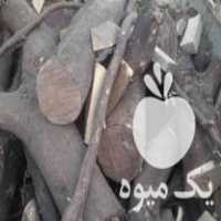 فروش چوب پرتقال خشک در مازندران در گروه خرید فروش عمده چوب- زغال چوب گردو تبریزی خام در یکمیوه