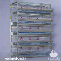 فروش مستقیم قفس بلدرچین قفس مرغ در سبزوار در گروه تجهیزات دام و طیور - خرید فروش نو دسته دوم در یکمیوه