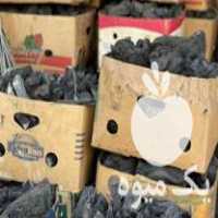 فروش ذغال مو انگور در اصفهان در گروه خرید فروش عمده چوب- زغال چوب گردو تبریزی خام در یکمیوه