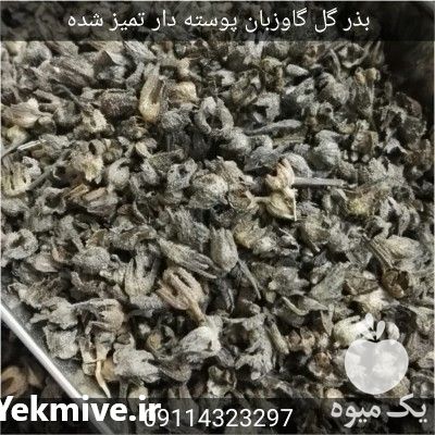 فروش بذر گل گاوزبان ایرانی در تهران در گروه خرید فروش عمده گیاهان دارویی - معطر خشک خواص دار در یکمیوه -عکس1
