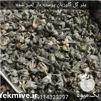 فروش بذر گل گاوزبان ایرانی در تهران در گروه خرید فروش عمده گیاهان دارویی - معطر خشک خواص دار در یکمیوه