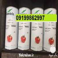 فروش بذر گوجه فرنگی هیبرید 8320 با کیفیت در یزد در گروه خرید فروش بذر - انواع محصول کشاورزی گوجه کتان میوه درخت در یکمیوه