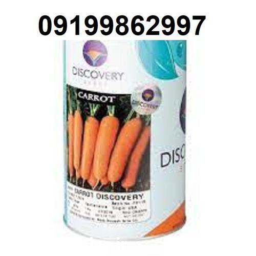 فروش بذر هویج دیسکاوری شکل میوه سیلندری شکل در بوشهر در گروه خرید فروش بذر - انواع محصول کشاورزی گوجه کتان میوه درخت در یکمیوه -عکس1