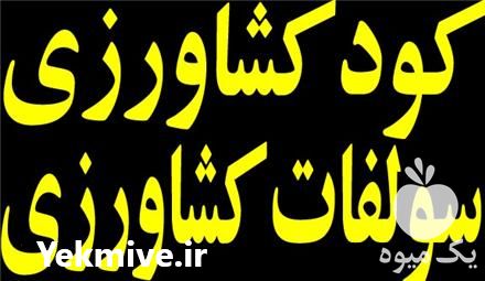 فروش و تولید کننده انواع کود و سولفات های کشاورزی در تهران در گروه خرید فروش کود و مواد شیمیایی - اوره پتاس مرغی کمپوست آهن در یکمیوه -عکس1