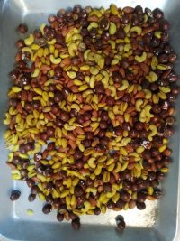 فروش آجیل درجه یک و صادراتی در مشهد در گروه آجیل - فروش عمده محصولات در یکمیوه