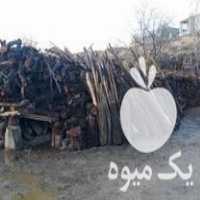 فروش هفتاد تن چوب زغالی در شاهین دژ در گروه خرید فروش عمده چوب- زغال چوب گردو تبریزی خام در یکمیوه