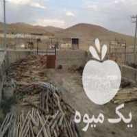 خریدار انواع چوب در تکاب در گروه خرید فروش عمده چوب- زغال چوب گردو تبریزی خام در یکمیوه