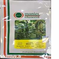 فروش بذر خیار گلخانه ای MRC 07 در یزد در گروه خرید فروش بذر - انواع محصول کشاورزی گوجه کتان میوه درخت در یکمیوه