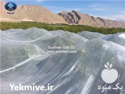 فروش توری ضد سرما ضد سرمازدگی در تهران در گروه خرید فروش انواع پوشش ها و ورق ها - پلی استر پلی کربنات نایلون در یکمیوه -عکس1