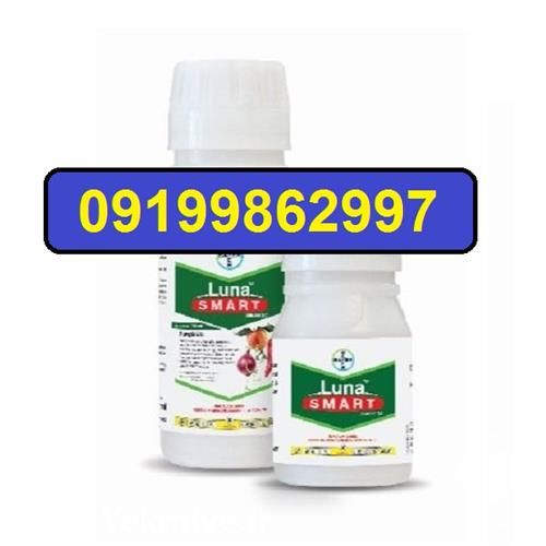 فروش عمده قارچ کش لونا در یزد در گروه خرید فروش کود و مواد شیمیایی - اوره پتاس مرغی کمپوست آهن در یکمیوه -عکس1