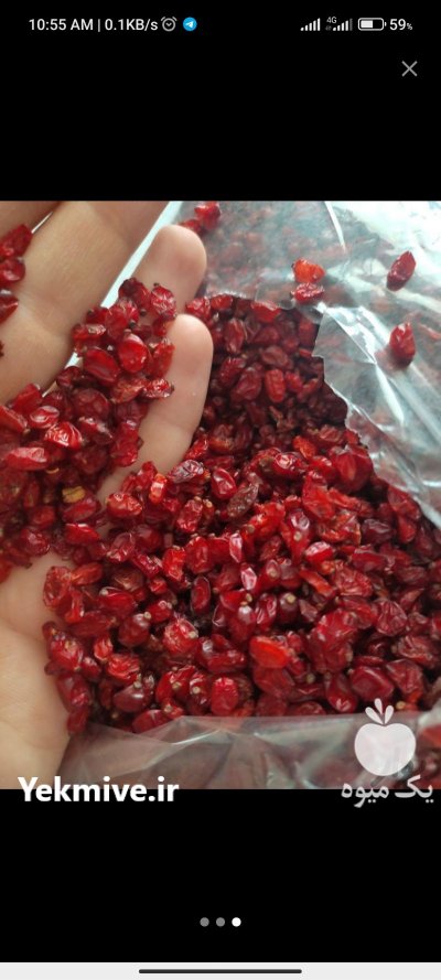 زرشک پفکی قاینات در خراسان رضوی در گروه خرید فروش عمده ازگیل و تمشک و زرشک - ژاپنی فروش مستقیم در یکمیوه -عکس1