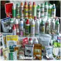 فروش سموم کشاورزی حشره کش در خوزستان در گروه خرید فروش کود و مواد شیمیایی - اوره پتاس مرغی کمپوست آهن در یکمیوه