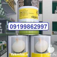 فروش قیمت عمده بذر پیاز مینروا در هرمز در گروه خرید فروش عمده پیاز - قرمز سفید زرد ترشی تازه انباری در یکمیوه