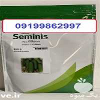 فروش فرش ویژه بذر خیار رویال ارسال سراسری بار در همدان در گروه خرید فروش بذر - انواع محصول کشاورزی گوجه کتان میوه درخت در یکمیوه