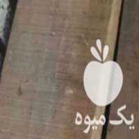 فروش چوب گردو الوار شده در چالوس در گروه خرید فروش عمده چوب- زغال چوب گردو تبریزی خام در یکمیوه