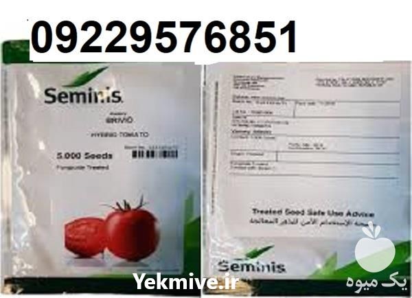 فروش بذر گوجه فرنگی بریویو اصل زودرس در خوزستان در گروه خرید فروش بذر - انواع محصول کشاورزی گوجه کتان میوه درخت در یکمیوه -عکس1