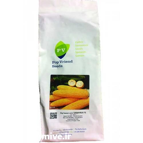 فروش بذر ذرت در بوشهر در گروه خرید فروش بذر - انواع محصول کشاورزی گوجه کتان میوه درخت در یکمیوه -عکس1