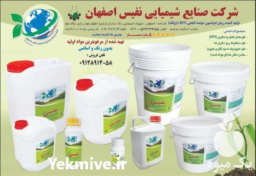 فروش روغن ولک با کیفیت عالی در اصفهان در گروه خرید فروش کود و مواد شیمیایی - اوره پتاس مرغی کمپوست آهن در یکمیوه -عکس1