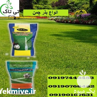 فروش انواع بذر چمن در تهران در گروه خرید فروش بذر - انواع محصول کشاورزی گوجه کتان میوه درخت در یکمیوه -عکس1