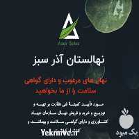 فروش نهالستان آذر سبز در یزد در گروه خرید فروش نهال - انواع گردو پسته بادام سلطانی انگور در یکمیوه