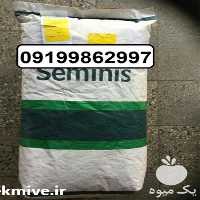 بذر نخود فرنگی واریته ای عالی برای فروش در گیلان در گروه خرید فروش بذر - انواع محصول کشاورزی گوجه کتان میوه درخت در یکمیوه