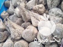 فروش چغندر و لبو درب منزل در بوکان در گروه خرید فروش عمده چغندر - قند لبویی قرمز سفید در یکمیوه -عکس1