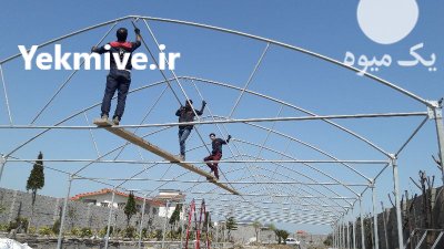 مجری ساخت سازه گلخانه در بابل  در گروه خرید فروش تجهیزات گلخانه - صنعتی خانگی هوشمند دست دوم در یکمیوه -عکس4