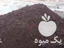 فروش کودگاوی حیوانی خالص ودرجه یک سوخته در مشهد در گروه خرید فروش کود و مواد شیمیایی - اوره پتاس مرغی کمپوست آهن در یکمیوه -عکس1