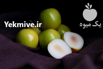 ميوه لاكچري كنار هندي در بندرعباس در گروه خرید فروش عمده میوه استوایی - پاپایا قرمز منگوستین گواوا بلوبری در یکمیوه -عکس1