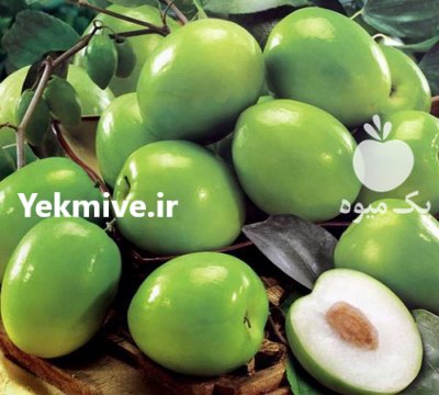 ميوه لاكچري كنار هندي در بندرعباس در گروه خرید فروش عمده میوه استوایی - پاپایا قرمز منگوستین گواوا بلوبری در یکمیوه -عکس2