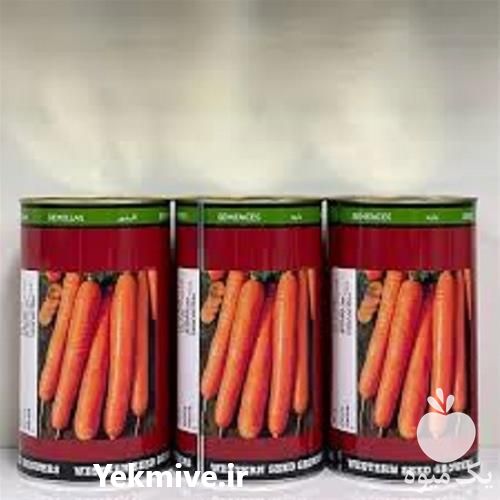 فروش بذر هویج ویکیما اصل در زنجان در گروه خرید فروش بذر - انواع محصول کشاورزی گوجه کتان میوه درخت در یکمیوه -عکس1