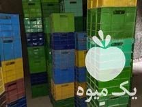 فروش سبد پلاستیکی صنعتی در گرگان در گروه خرید فروش انواع سبد - میوه پلاستیکی چوبی گل در یکمیوه -عکس1