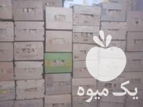 فروش سبد کارتن موز در کشاورز در گروه خرید فروش انواع سبد - میوه پلاستیکی چوبی گل در یکمیوه -عکس1