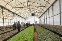 مجری ساخت سازه گلخانه در بابل  در گروه خرید فروش تجهیزات گلخانه - صنعتی خانگی هوشمند دست دوم در یکمیوه