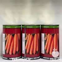 فروش بذر هویج ویکیما اصل در زنجان در گروه خرید فروش بذر - انواع محصول کشاورزی گوجه کتان میوه درخت در یکمیوه