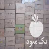 فروش سبد کارتن موز در کشاورز در گروه خرید فروش انواع سبد - میوه پلاستیکی چوبی گل در یکمیوه