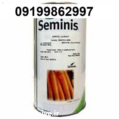 فروش بذر هویج کارورا سمینیس اصل در بوشهر در گروه خرید فروش بذر - انواع محصول کشاورزی گوجه کتان میوه درخت در یکمیوه -عکس1