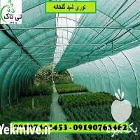 فروش توری گلخانه در تهران در گروه خرید فروش انواع پوشش ها و ورق ها - پلی استر پلی کربنات نایلون در یکمیوه